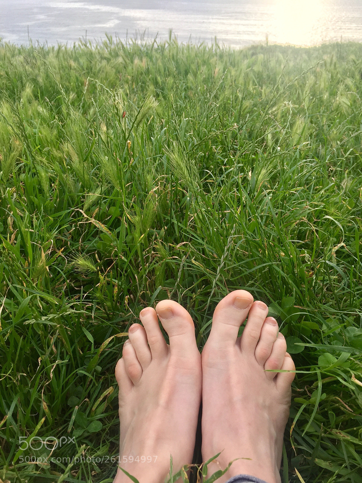 Apple iPhone 6 sample photo. Untitled photography