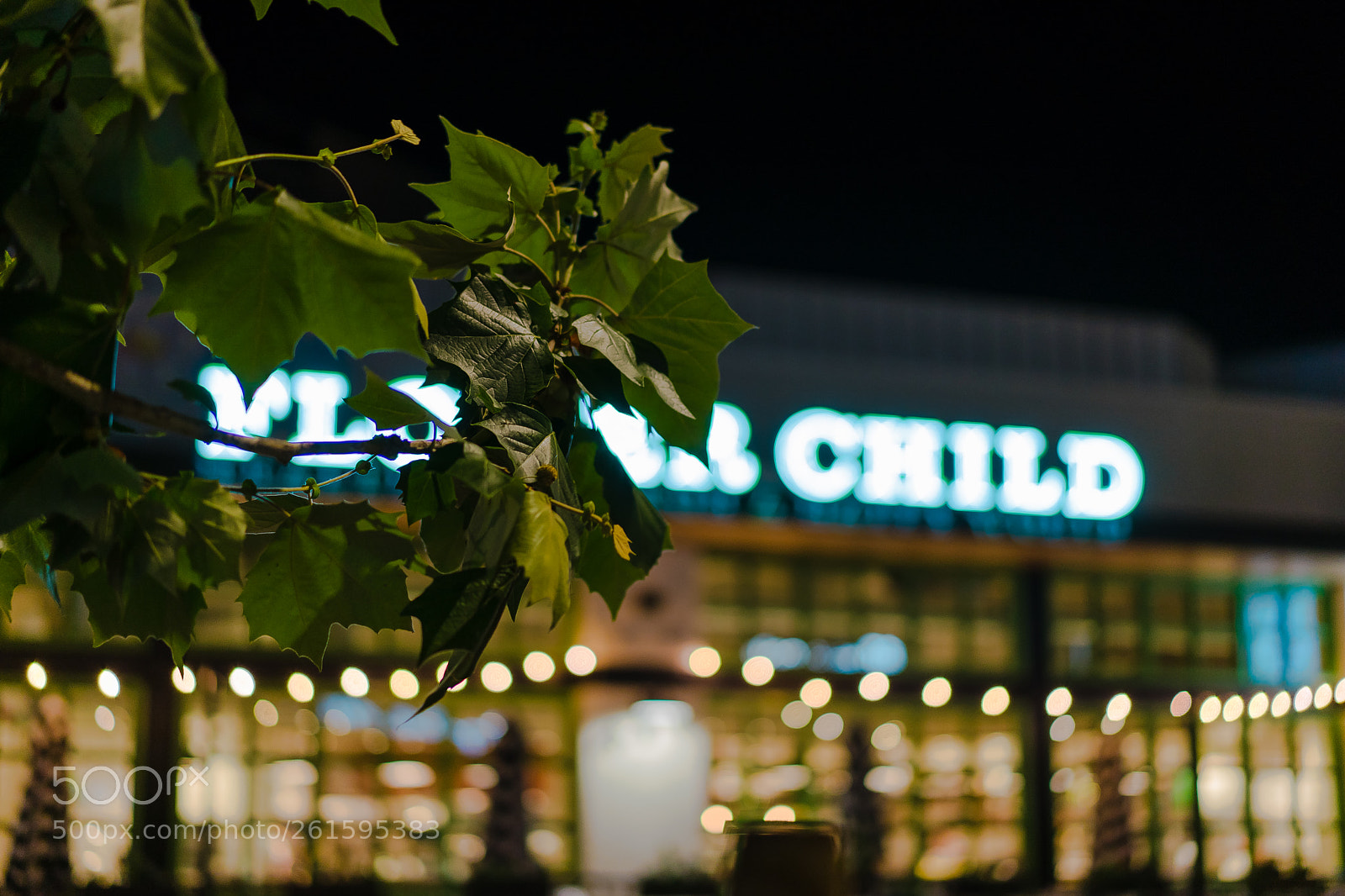 Sony a7 II sample photo. Blured photography