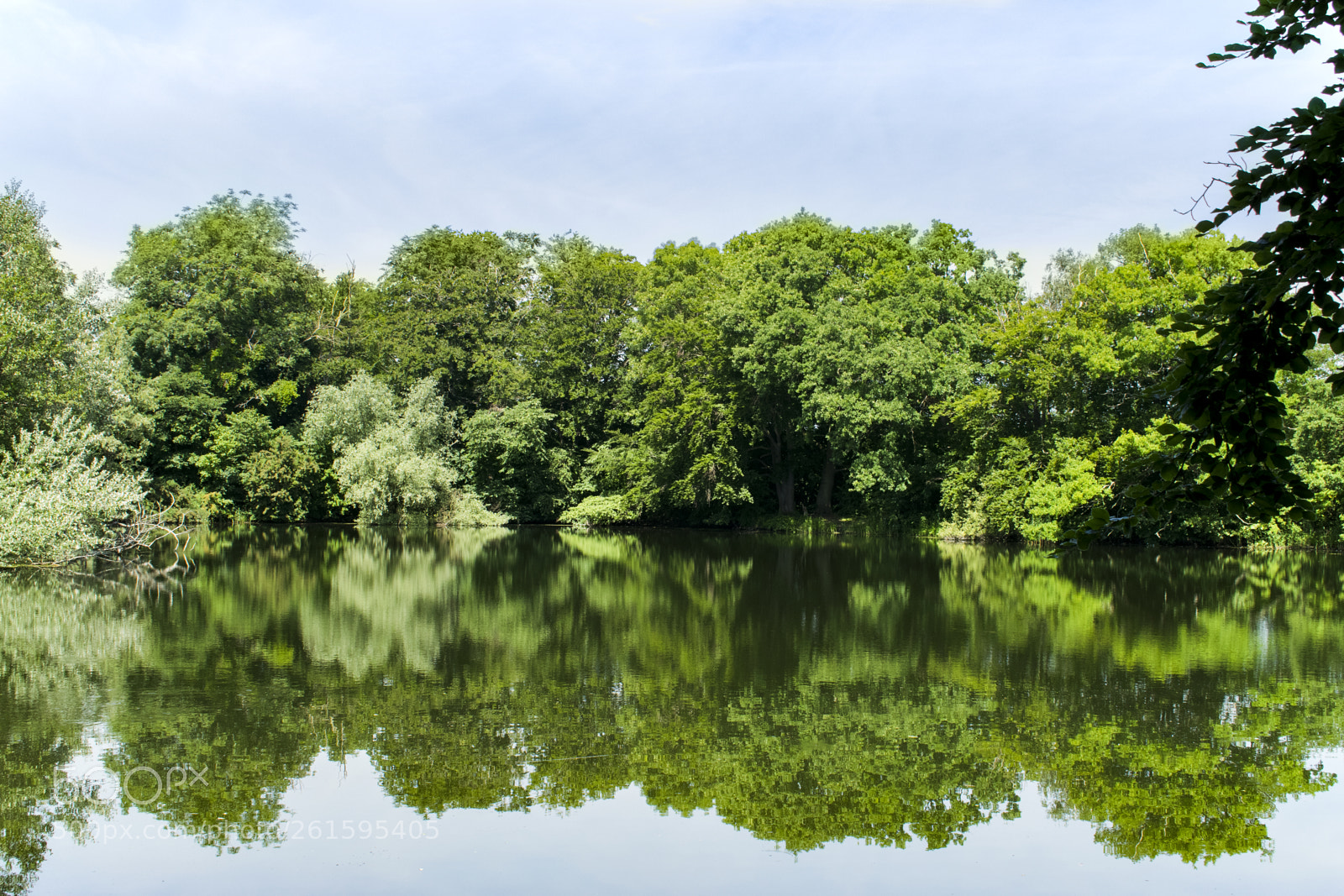 Nikon D3300 sample photo. 24/365 photography