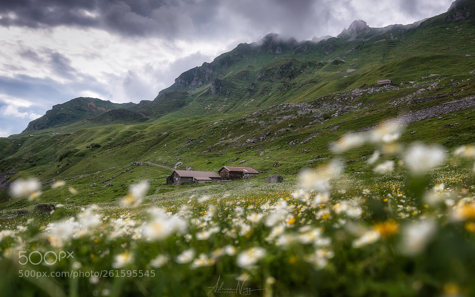 Nikon D750 sample photo. Spring in the mountains photography
