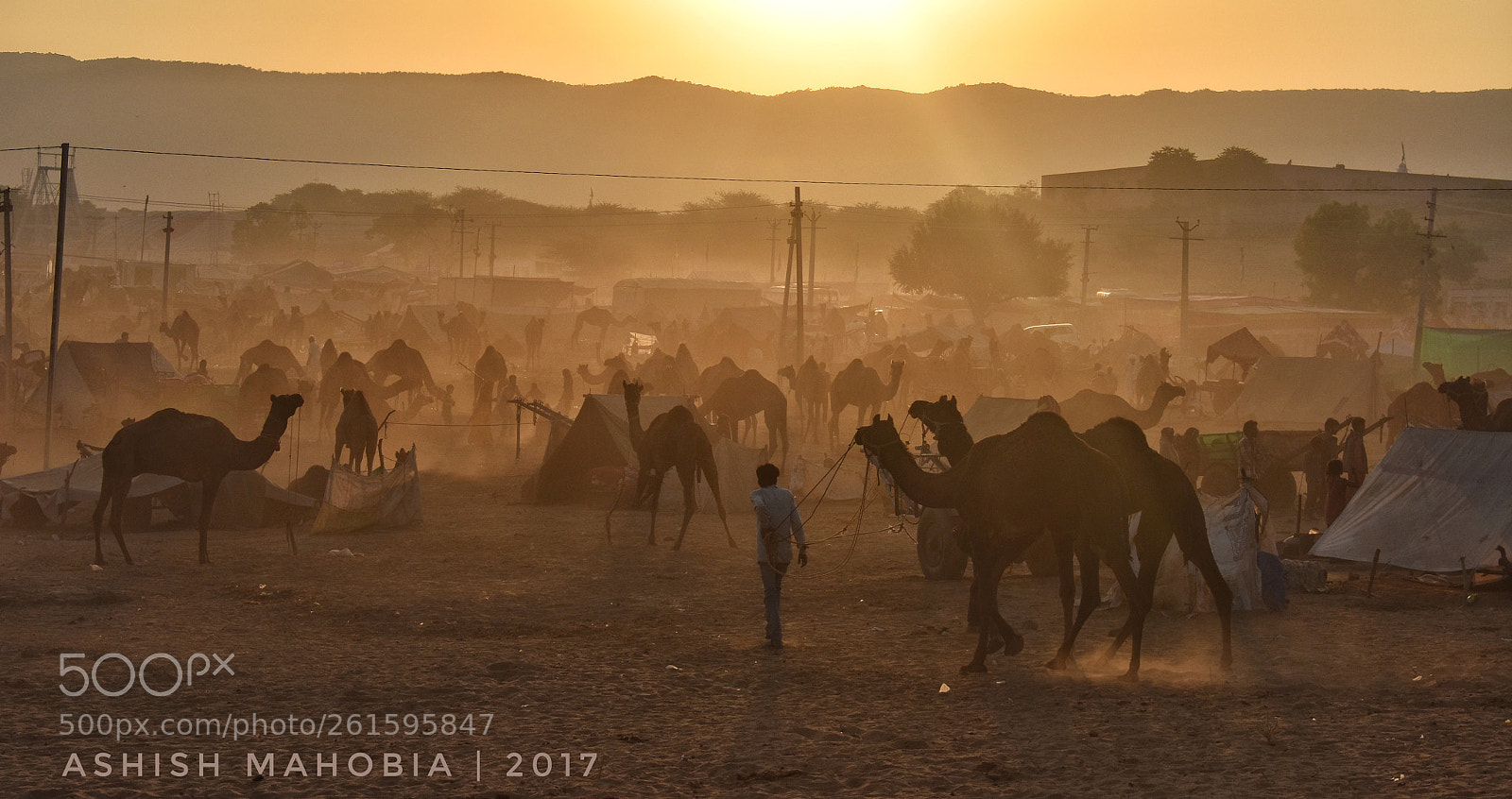 Nikon D3400 sample photo. Golden hour !! photography