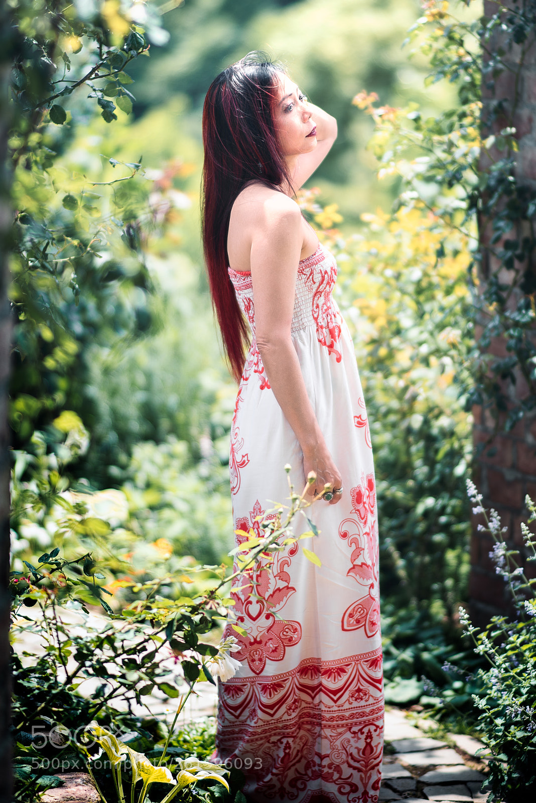 Nikon D810 sample photo. Rose garden portrait photography