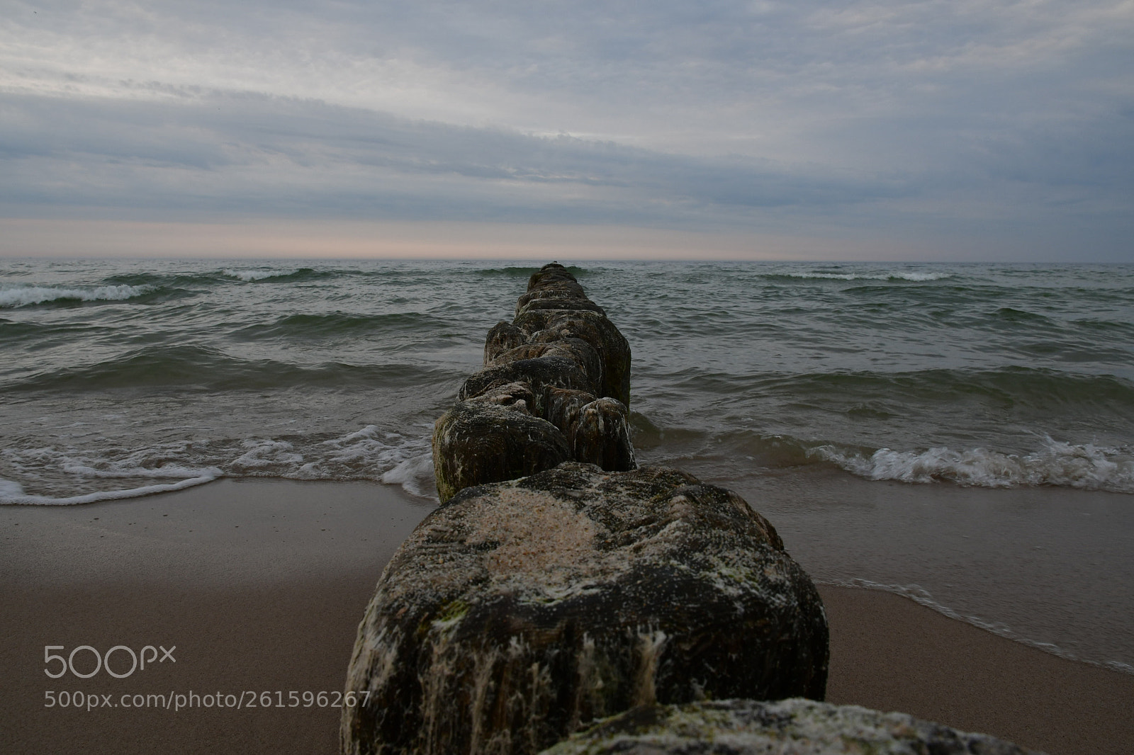 Nikon D500 sample photo. Impressions from chalupy photography