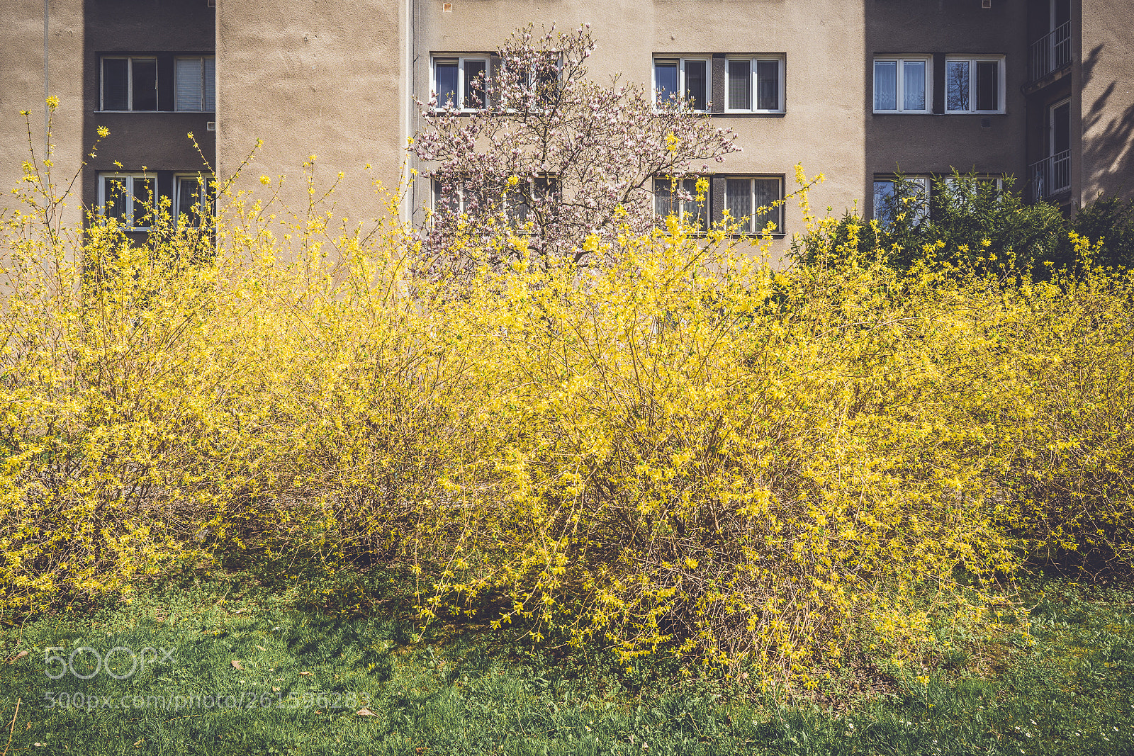 Sony a7 sample photo. Spring prefab photography