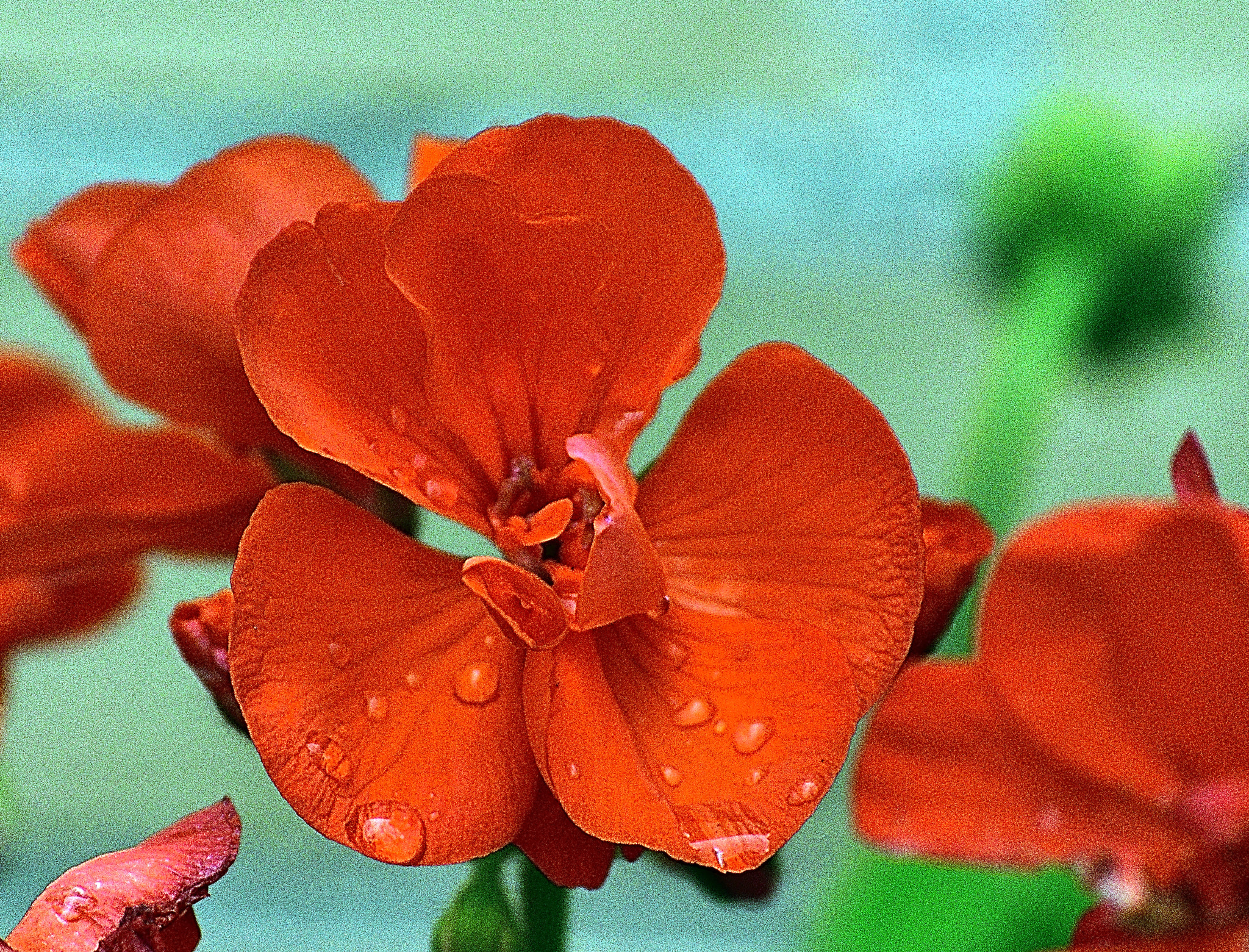 Nikon D3400 sample photo. Esplendor photography