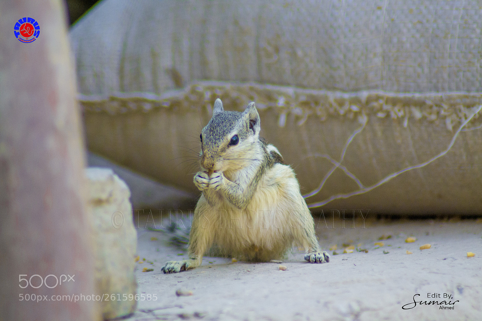 Nikon D3100 sample photo. Cute photography