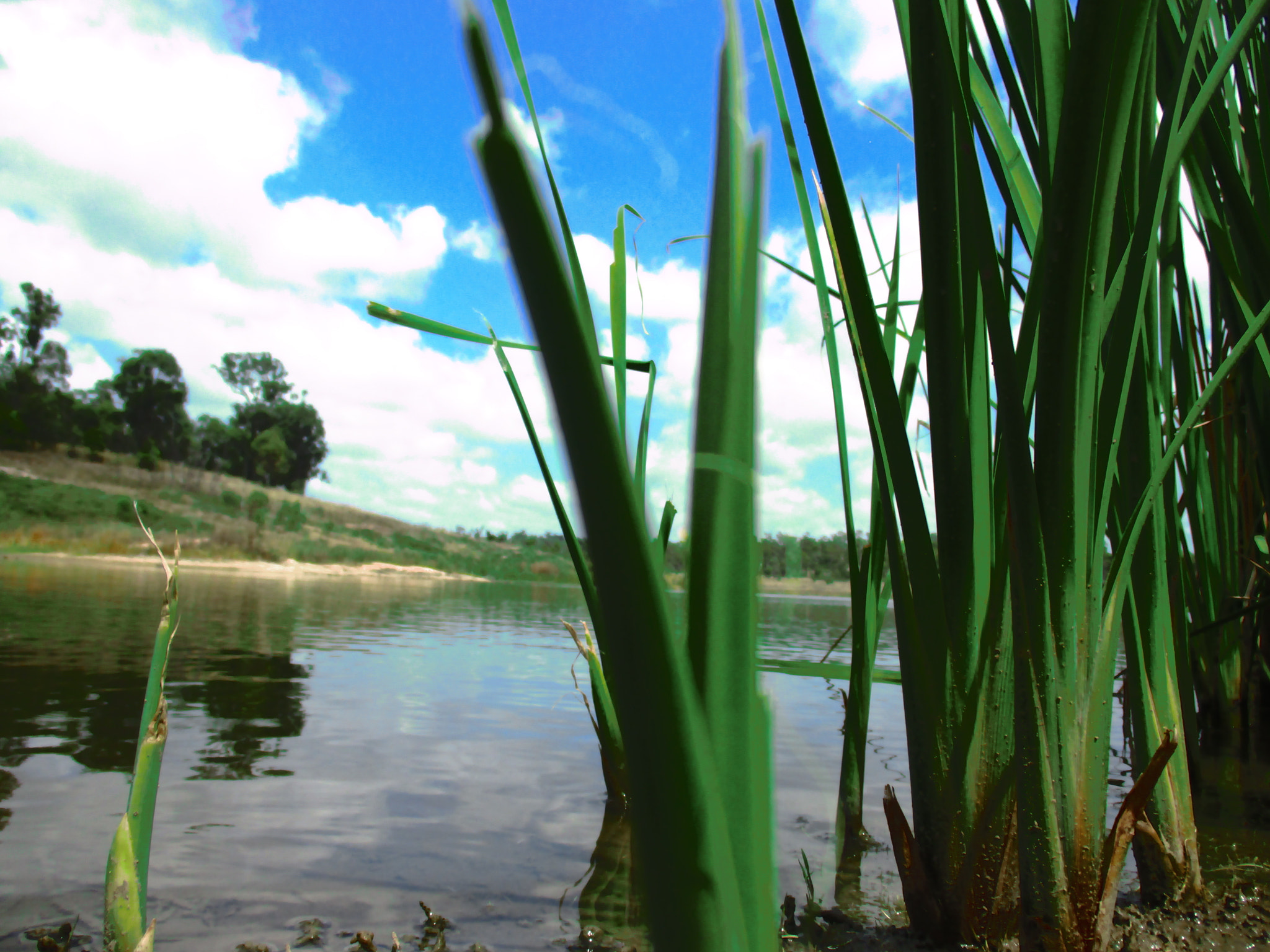 Canon IXUS 185 sample photo. Lake dyer photography