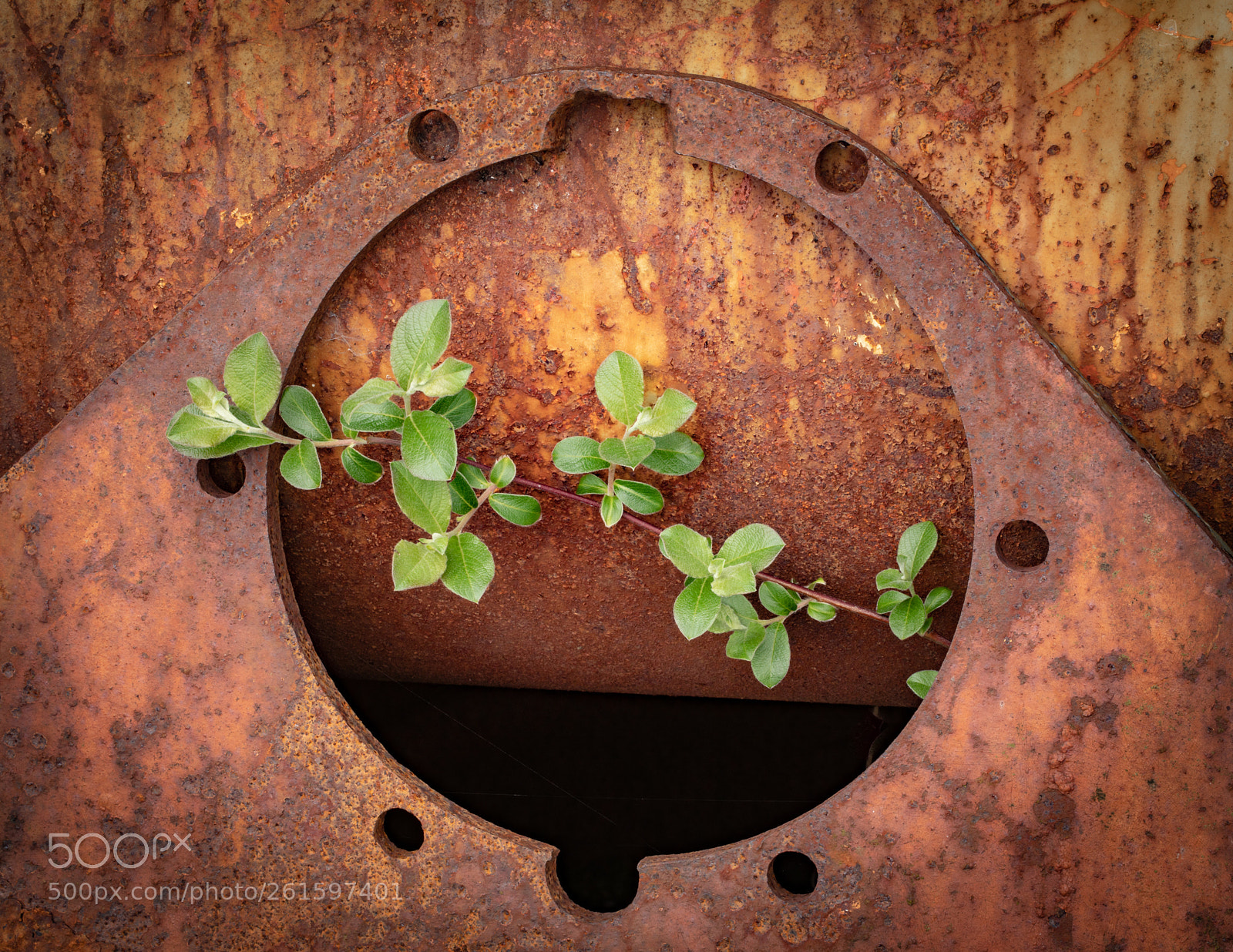 Canon EOS 5D Mark IV sample photo. Framed by rust photography