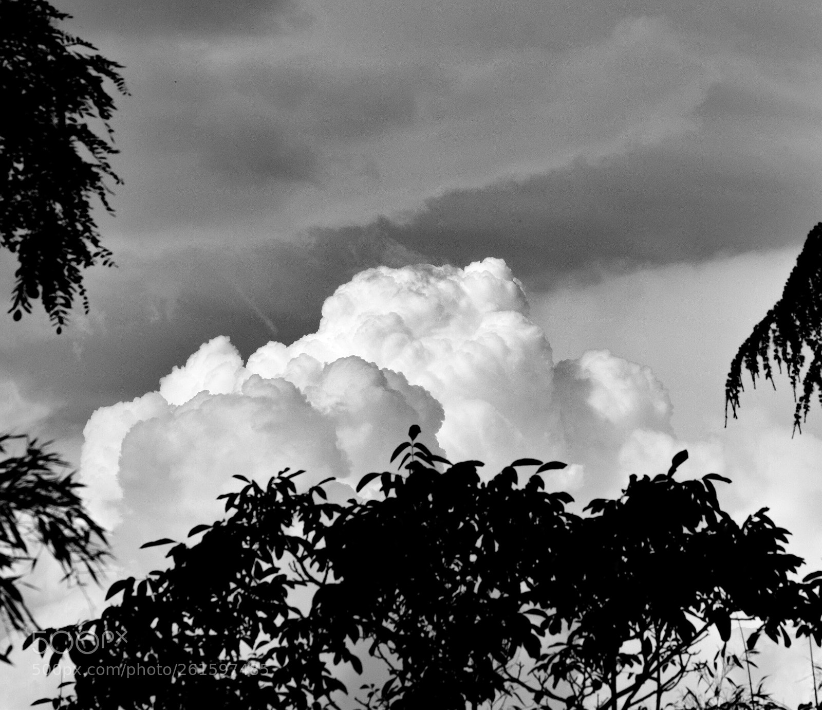 Nikon D5300 sample photo. Nuages photography