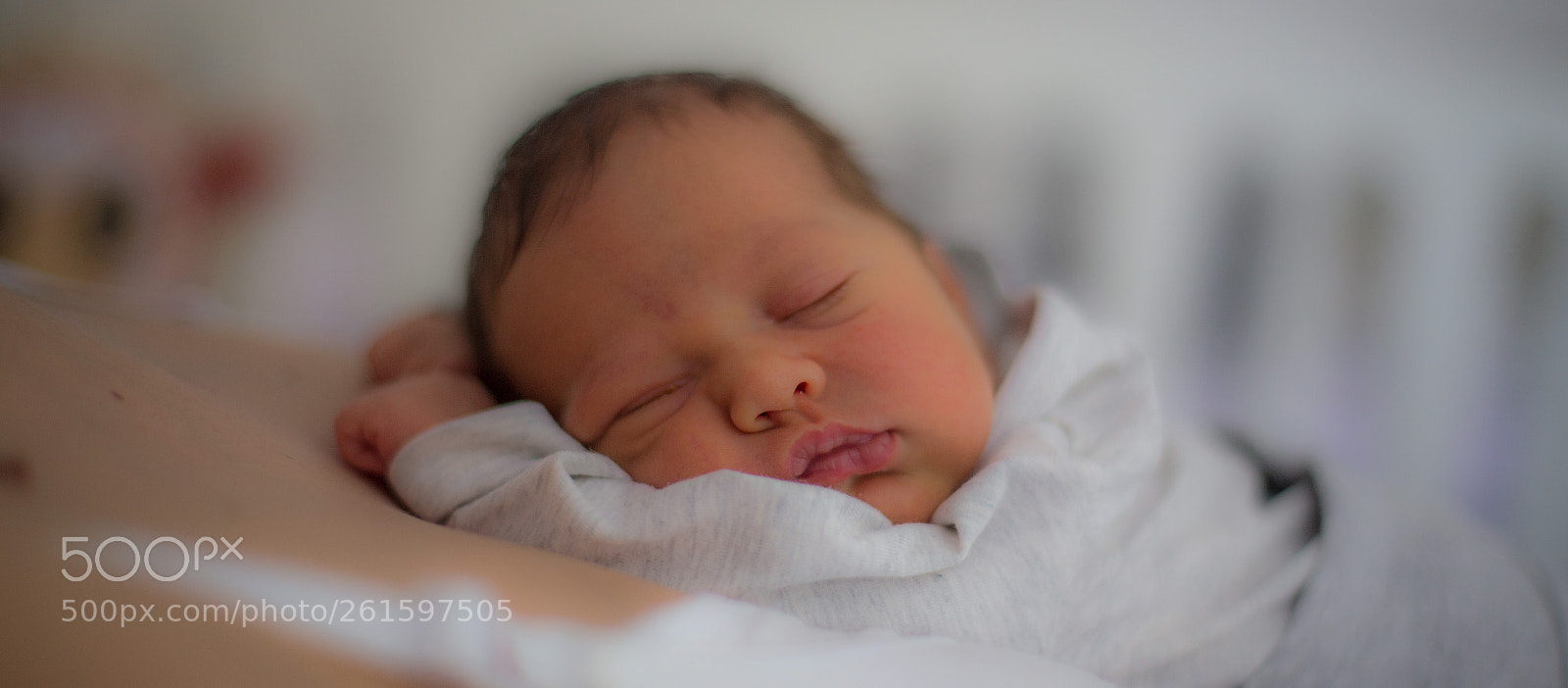 Canon EOS 6D sample photo. Sleeping beauty photography