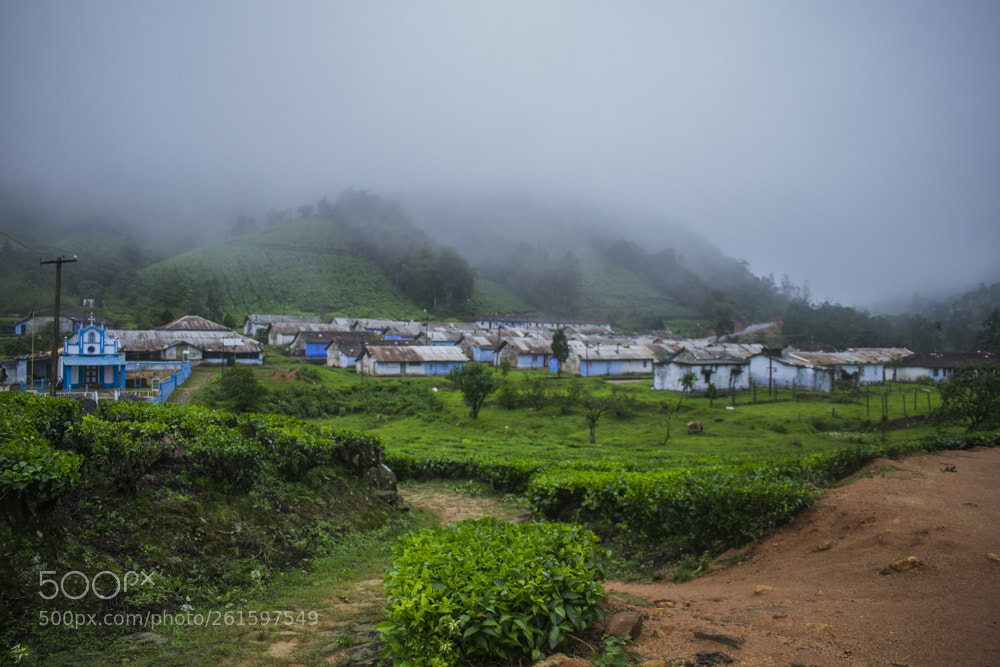 Nikon D5300 sample photo. Clan culture photography