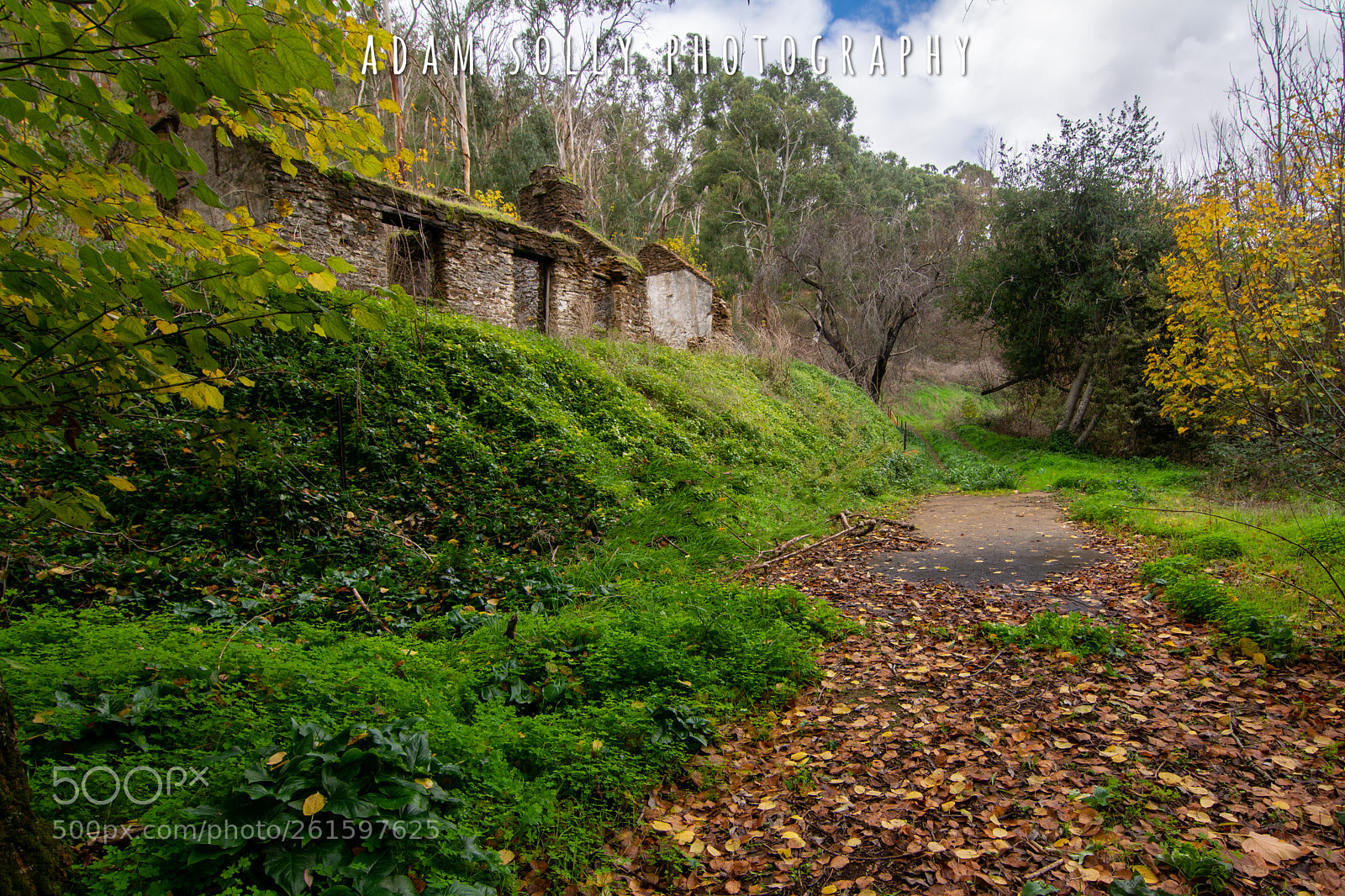 Nikon D7100 sample photo. Edit photography