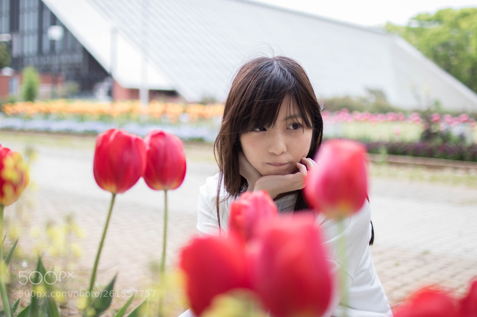Canon EOS 80D sample photo. Img photography