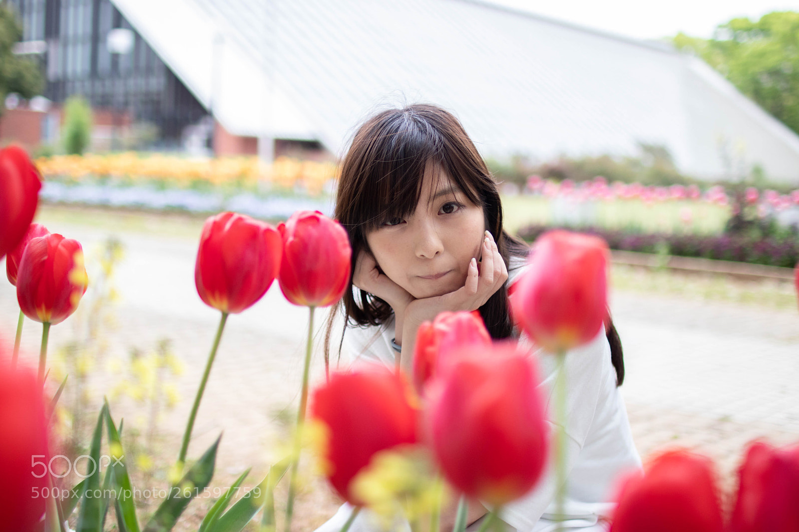 Canon EOS 80D sample photo. Edit photography