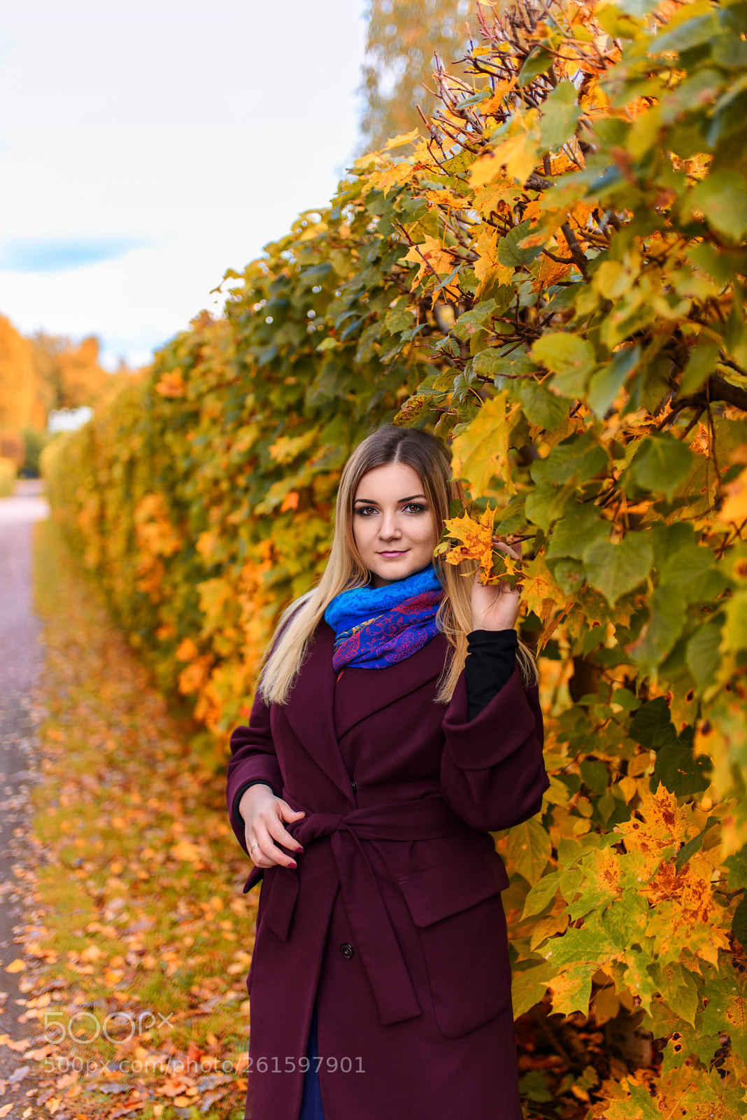 Nikon D750 sample photo. Autumn portrait photography