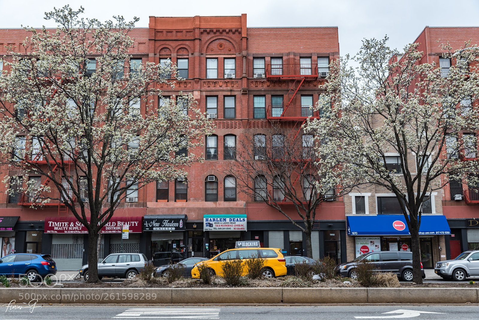 Nikon D750 sample photo. Harlem new york photography