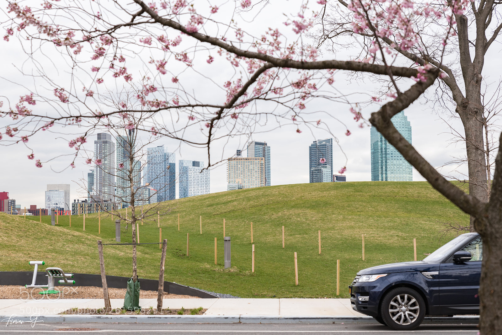 Nikon D750 sample photo. Roosevelt island photography