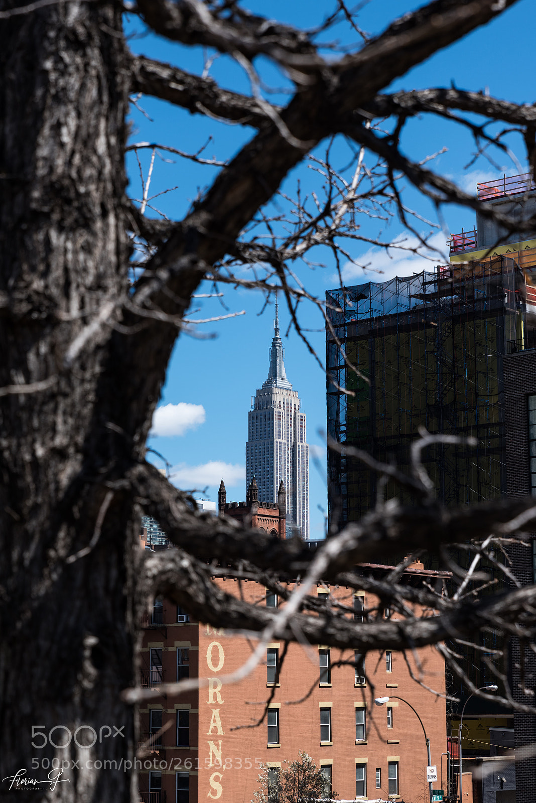 Nikon D750 sample photo. Empire state buildind photography