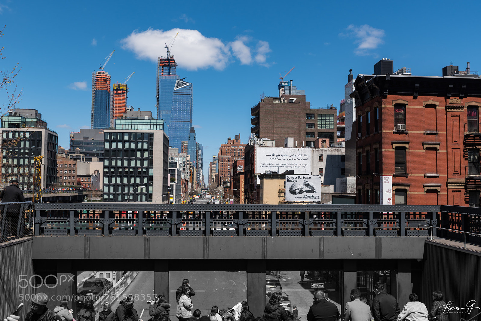 Nikon D750 sample photo. High line photography