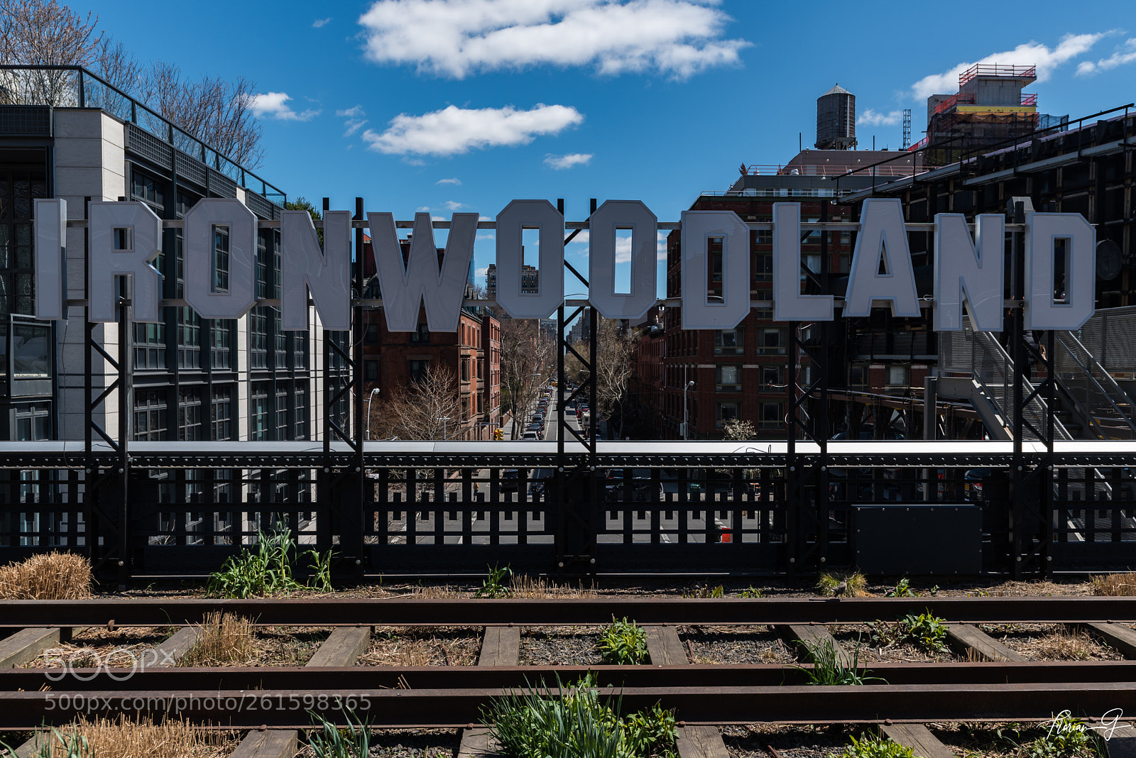 Nikon D750 sample photo. High line photography