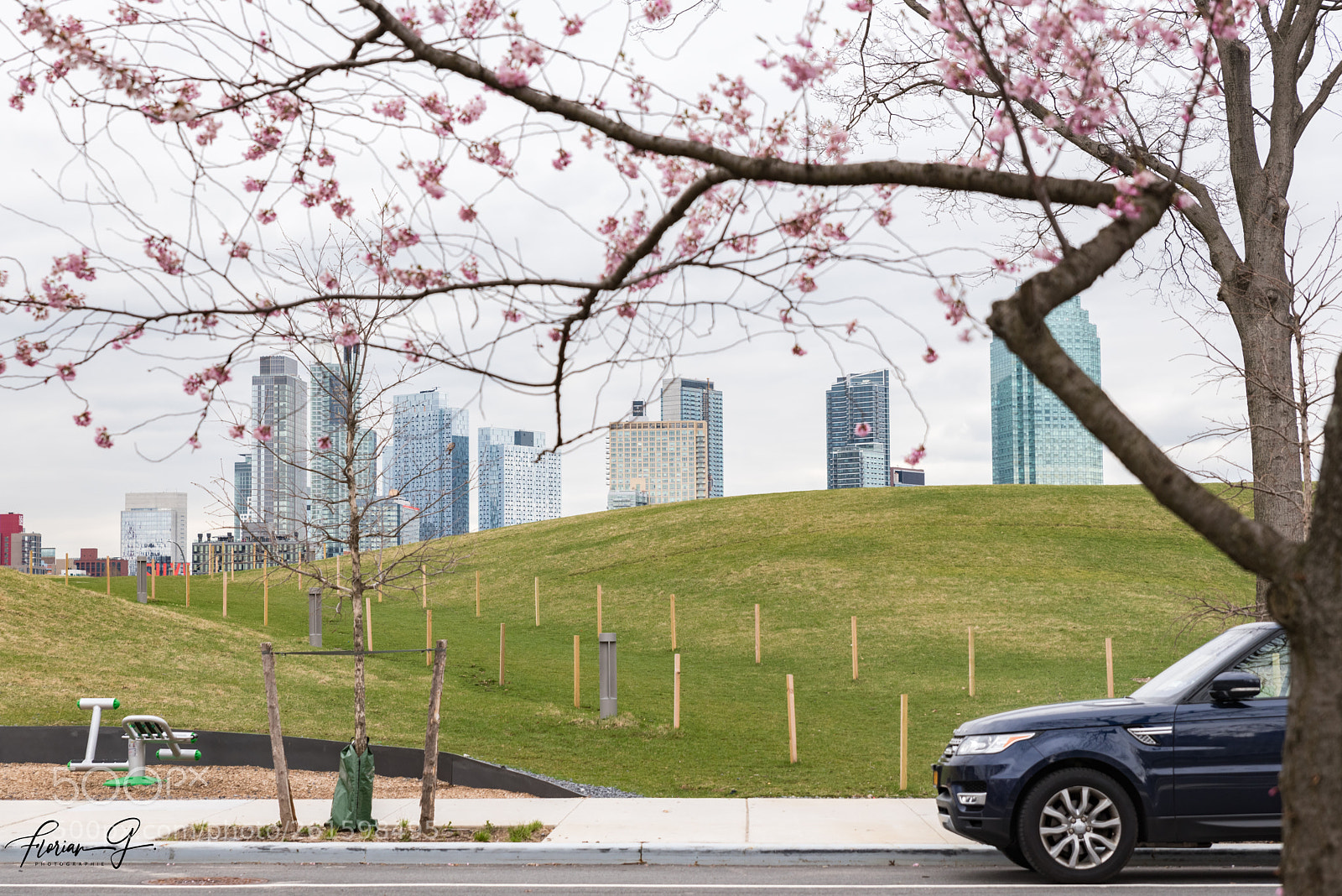 Nikon D750 sample photo. Roosevelt island photography