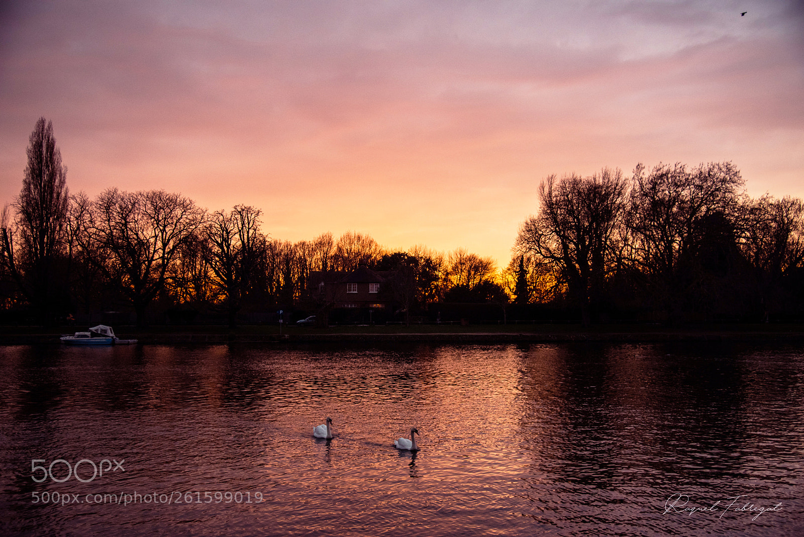 Nikon D750 sample photo. Sailing on sunset. thames photography