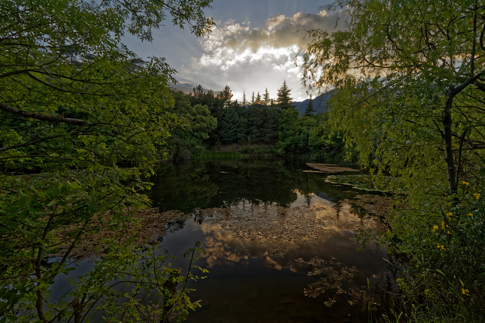 Canon EOS 80D sample photo. Lake photography