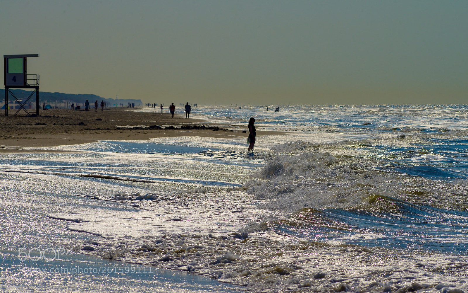 Nikon D800 sample photo. Backlight photography