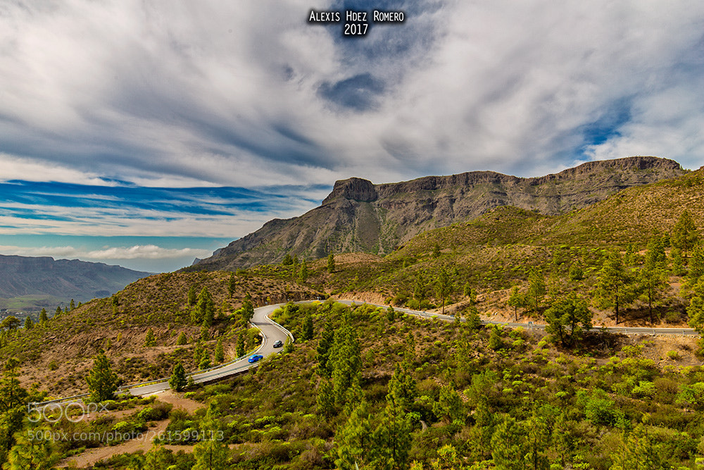 Canon EOS 6D sample photo. ¿te gusta conducir? photography