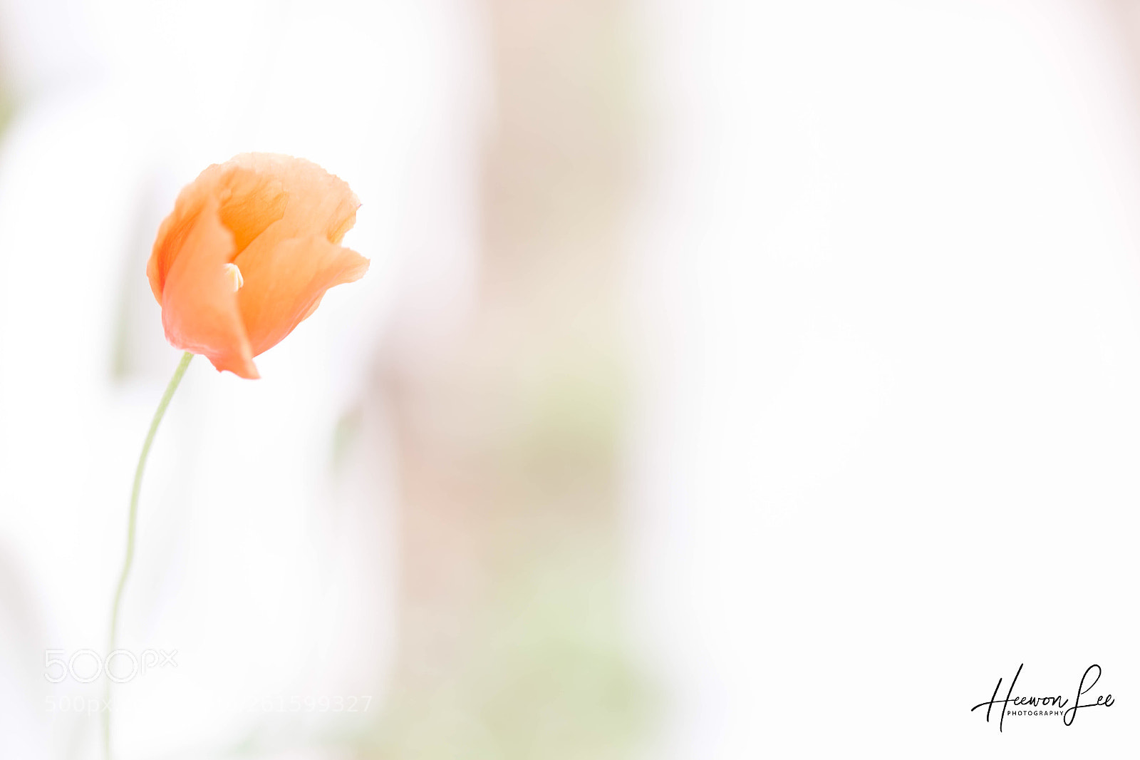 Canon EOS 6D sample photo. ℓσиєℓу photography