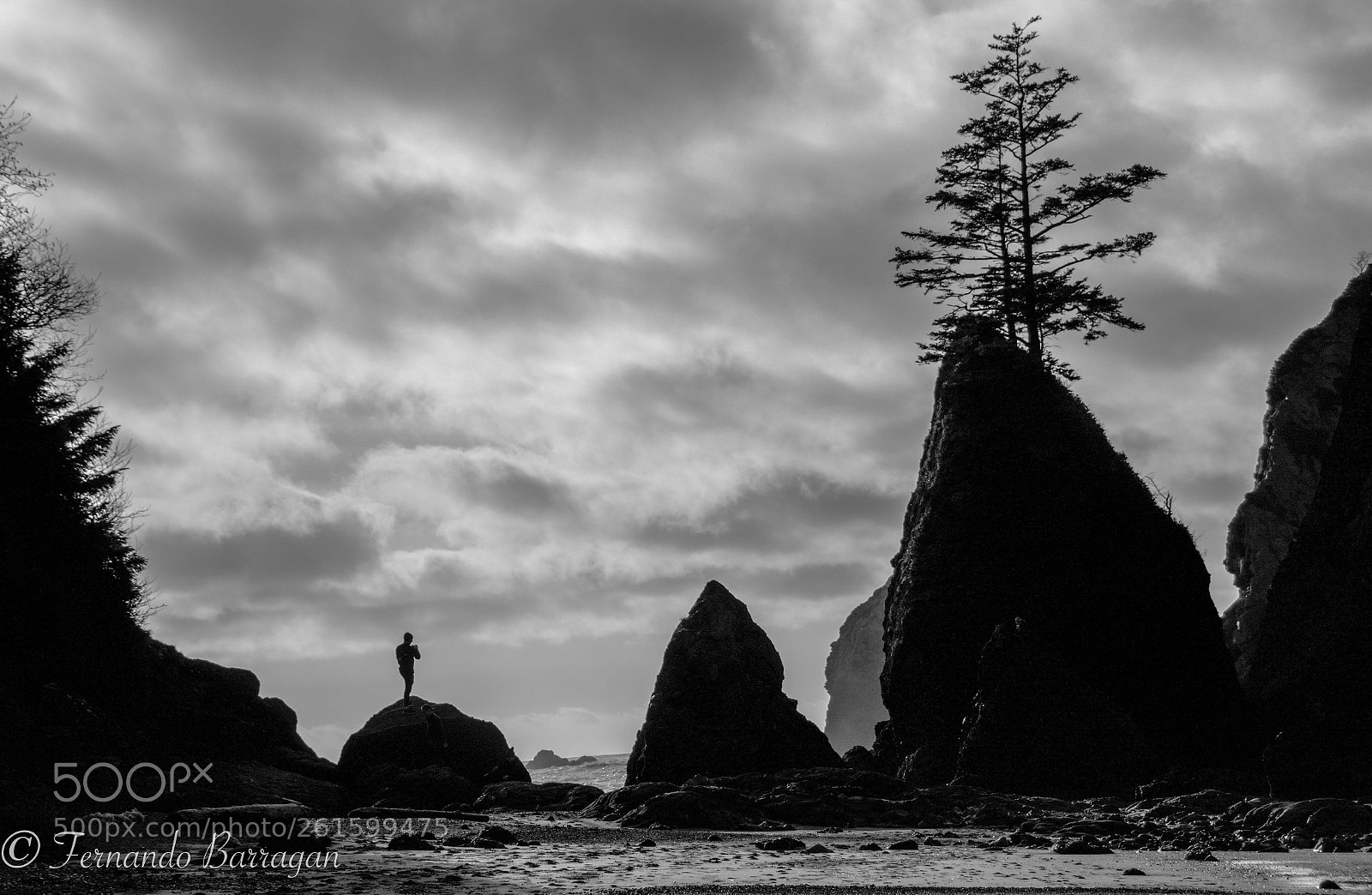 Nikon D7100 sample photo. Shishi beach en bn photography