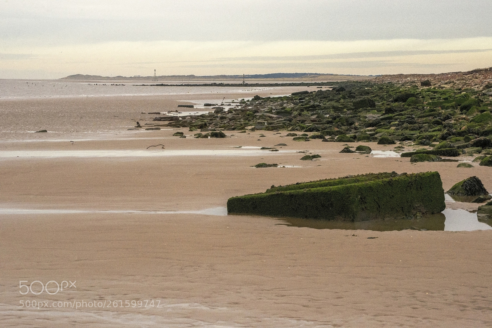 Nikon D600 sample photo. Rubble bay (1) photography