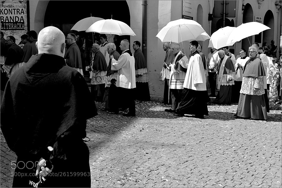 Nikon D610 sample photo. Bare umbrellas photography