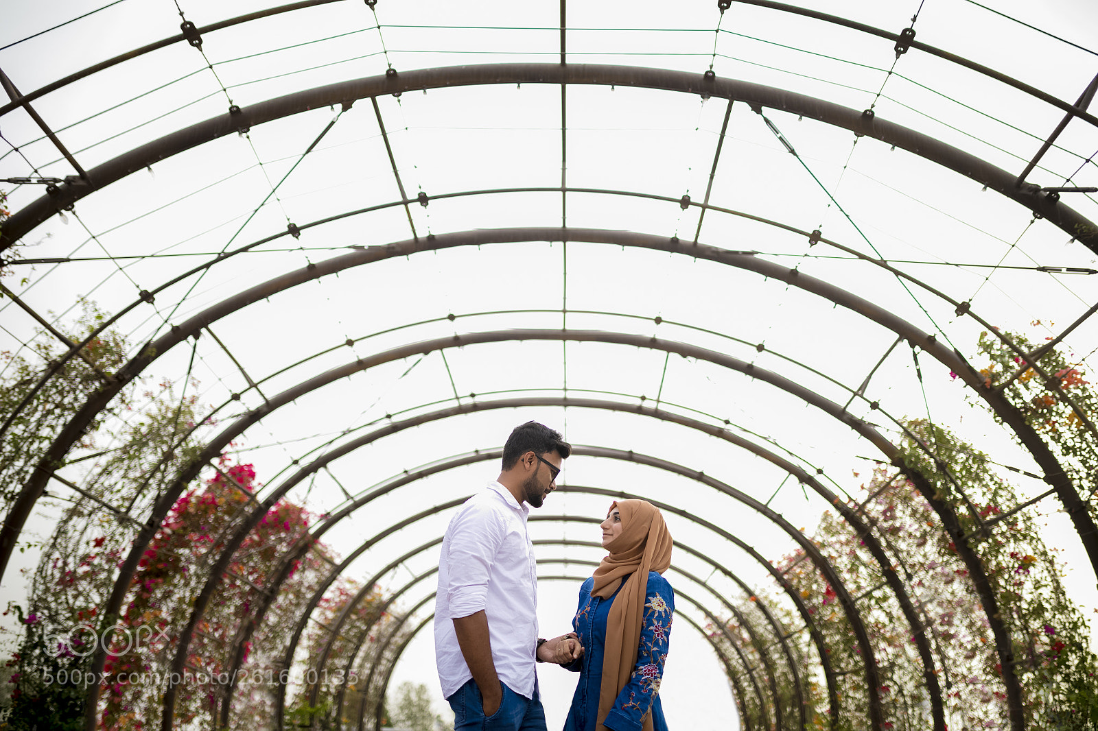 Canon EOS 5D Mark IV sample photo. Img xx photography