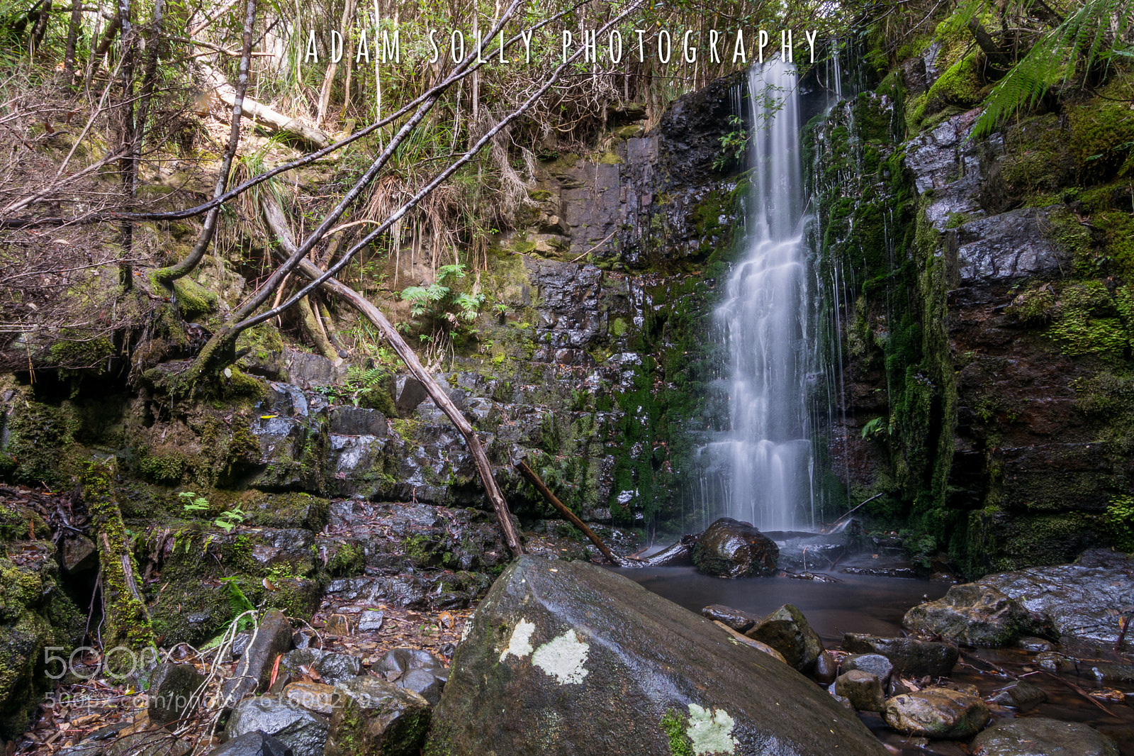 Nikon D7100 sample photo. Dsc_1513-2.jpg photography