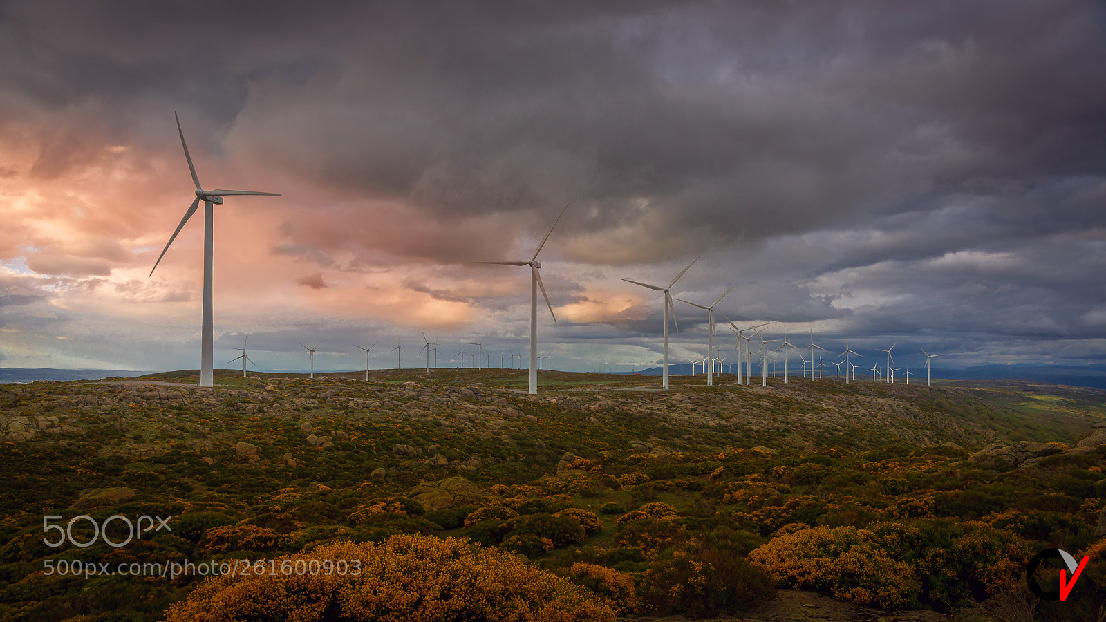 Sony Alpha DSLR-A850 sample photo. Son gigantes... photography