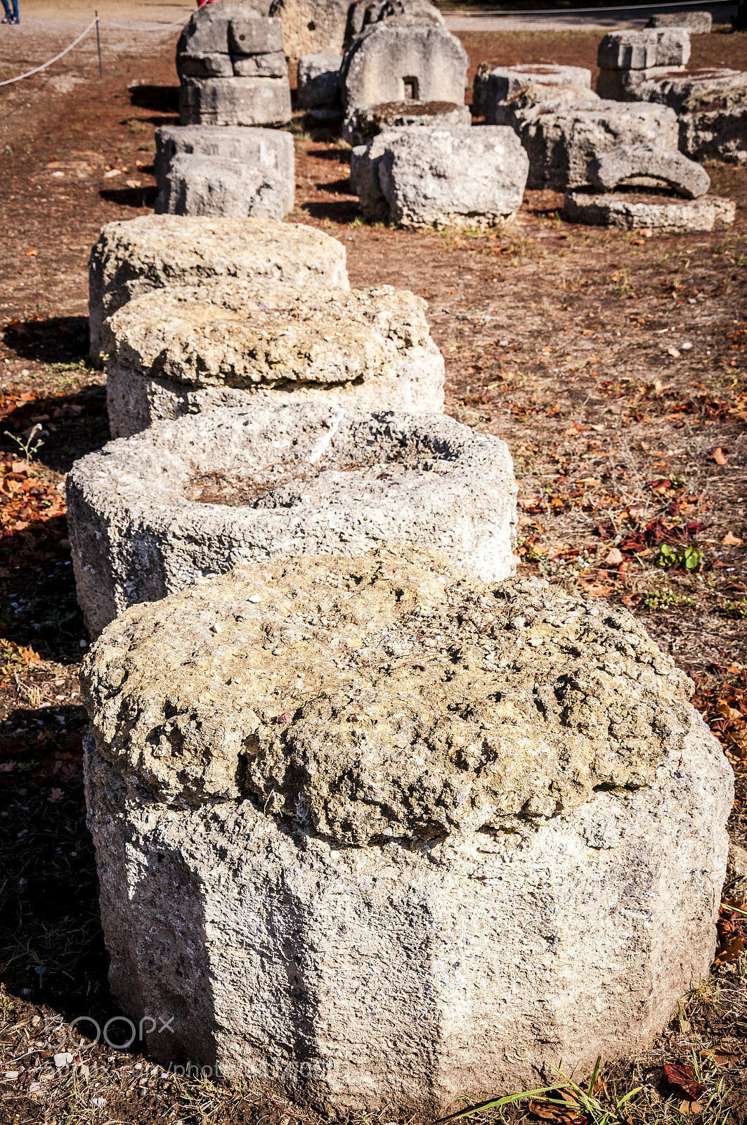 Nikon D90 sample photo. Untitled photography