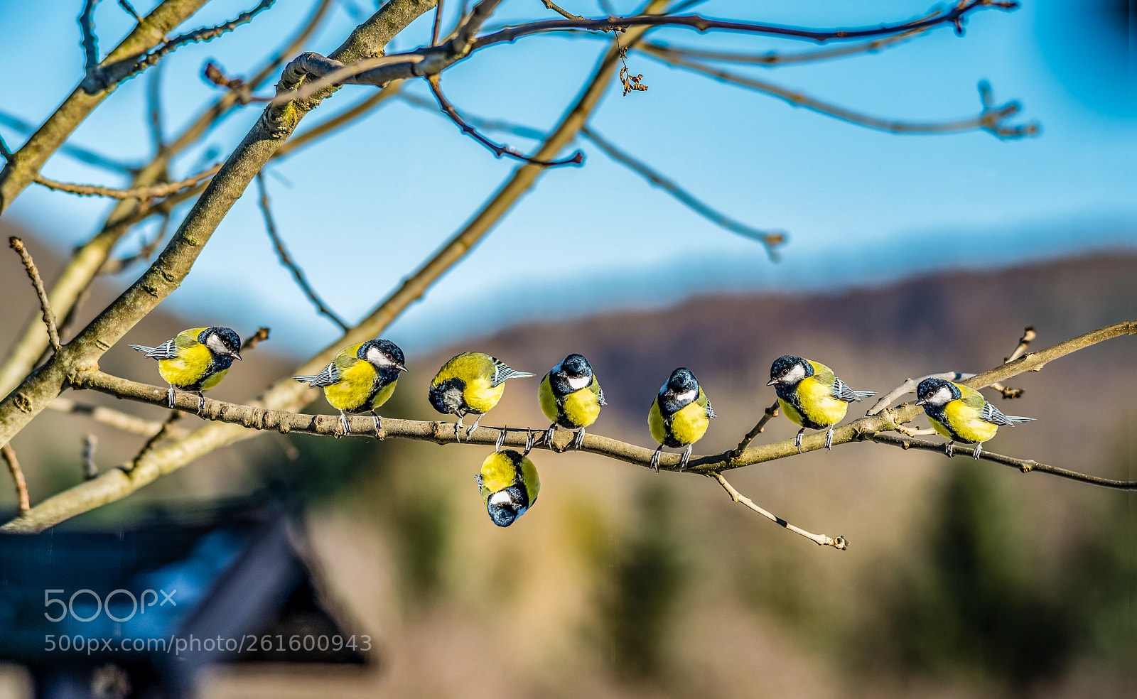 Nikon D750 sample photo. Einer f llt immer photography