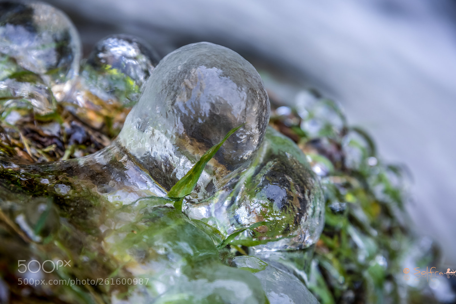 Canon EOS 5D Mark IV sample photo. Rêves de glace photography