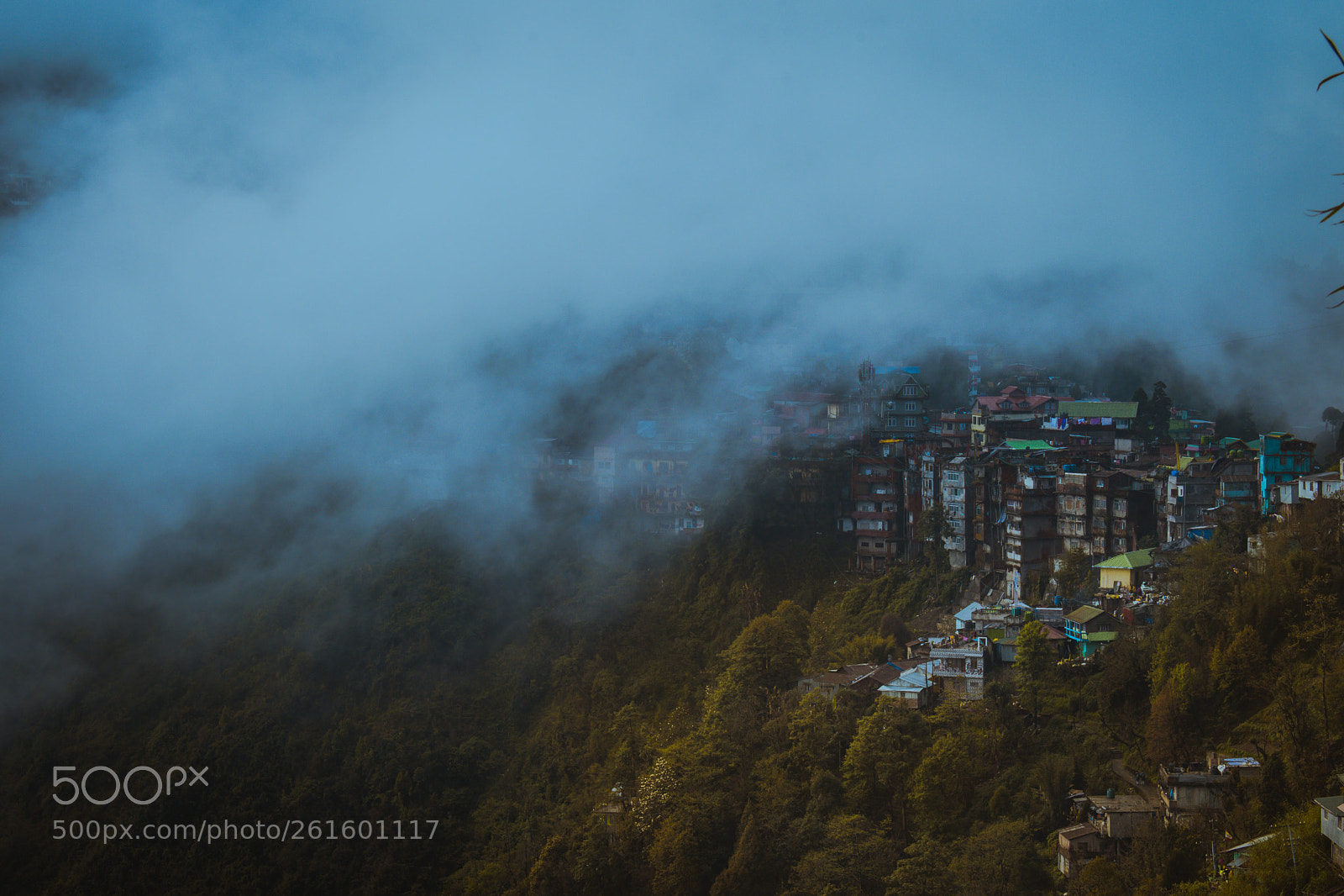Nikon D5600 sample photo. Living amongst the clouds! photography