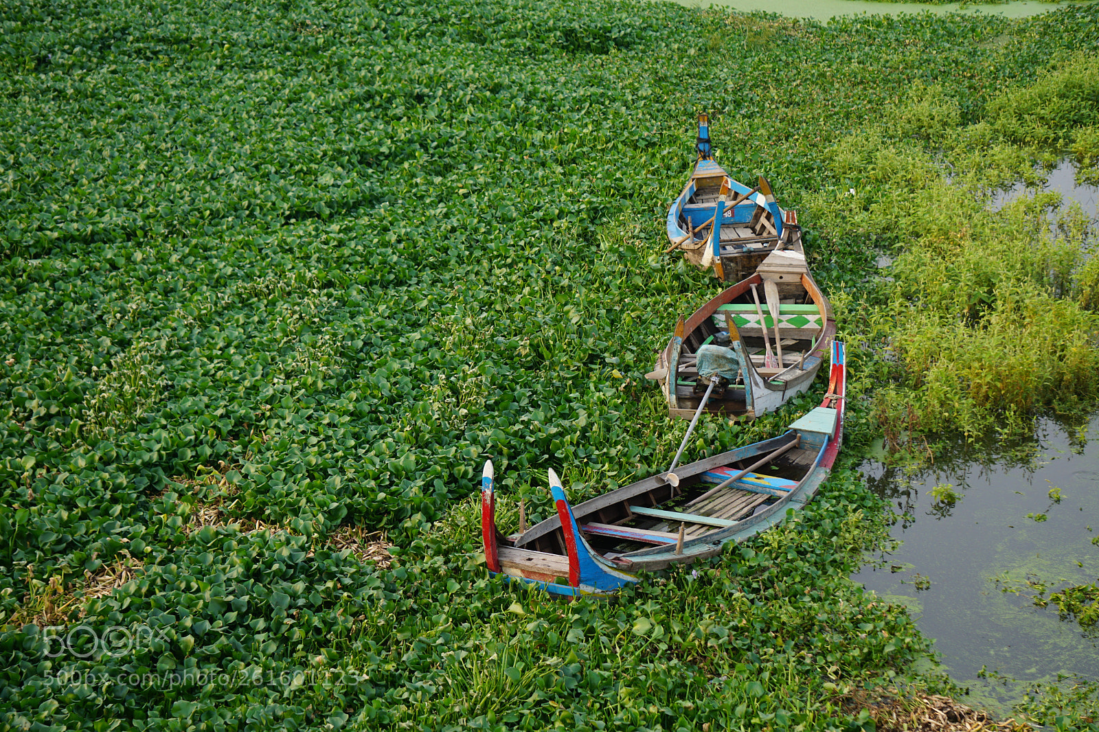 Sony a6000 sample photo. Dsc photography