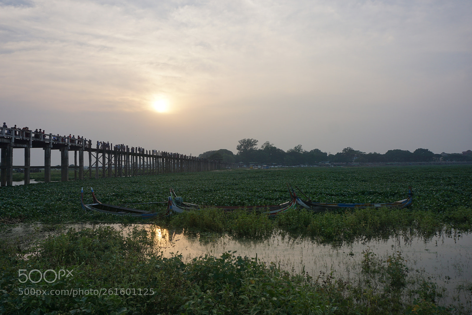 Sony a6000 sample photo. Dsc photography