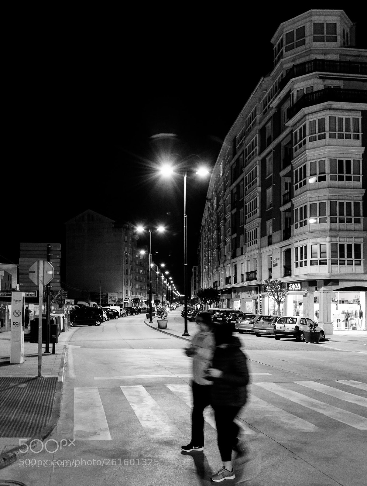 Nikon D750 sample photo. Untitled photography