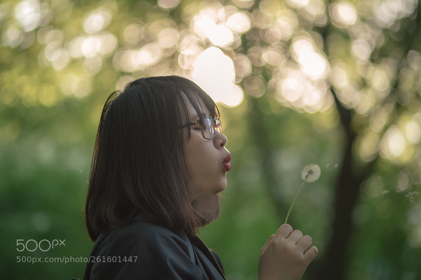Canon EOS 6D sample photo. Img photography