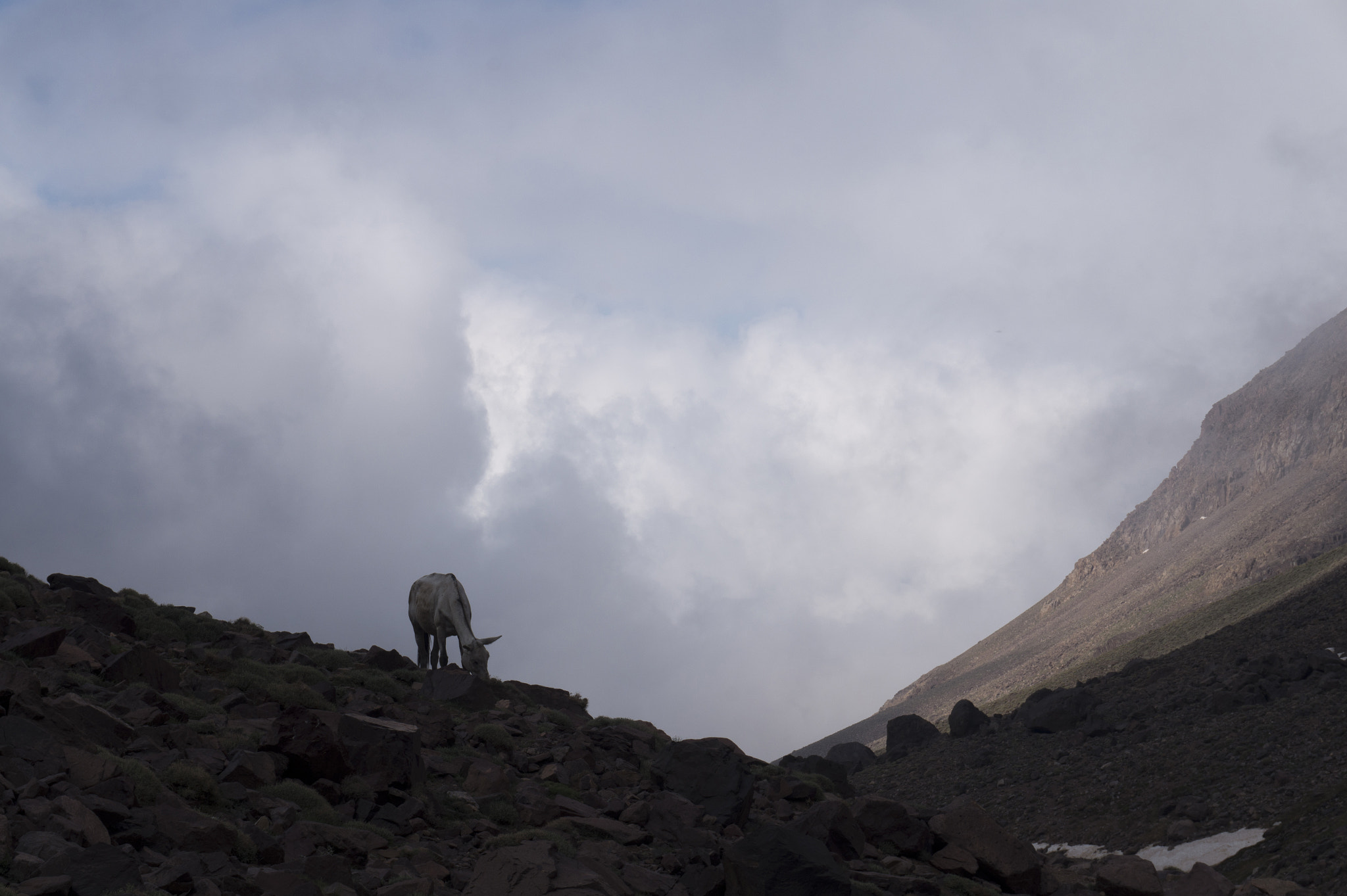 Sony Alpha a5000 (ILCE 5000) sample photo. Toubkal photography