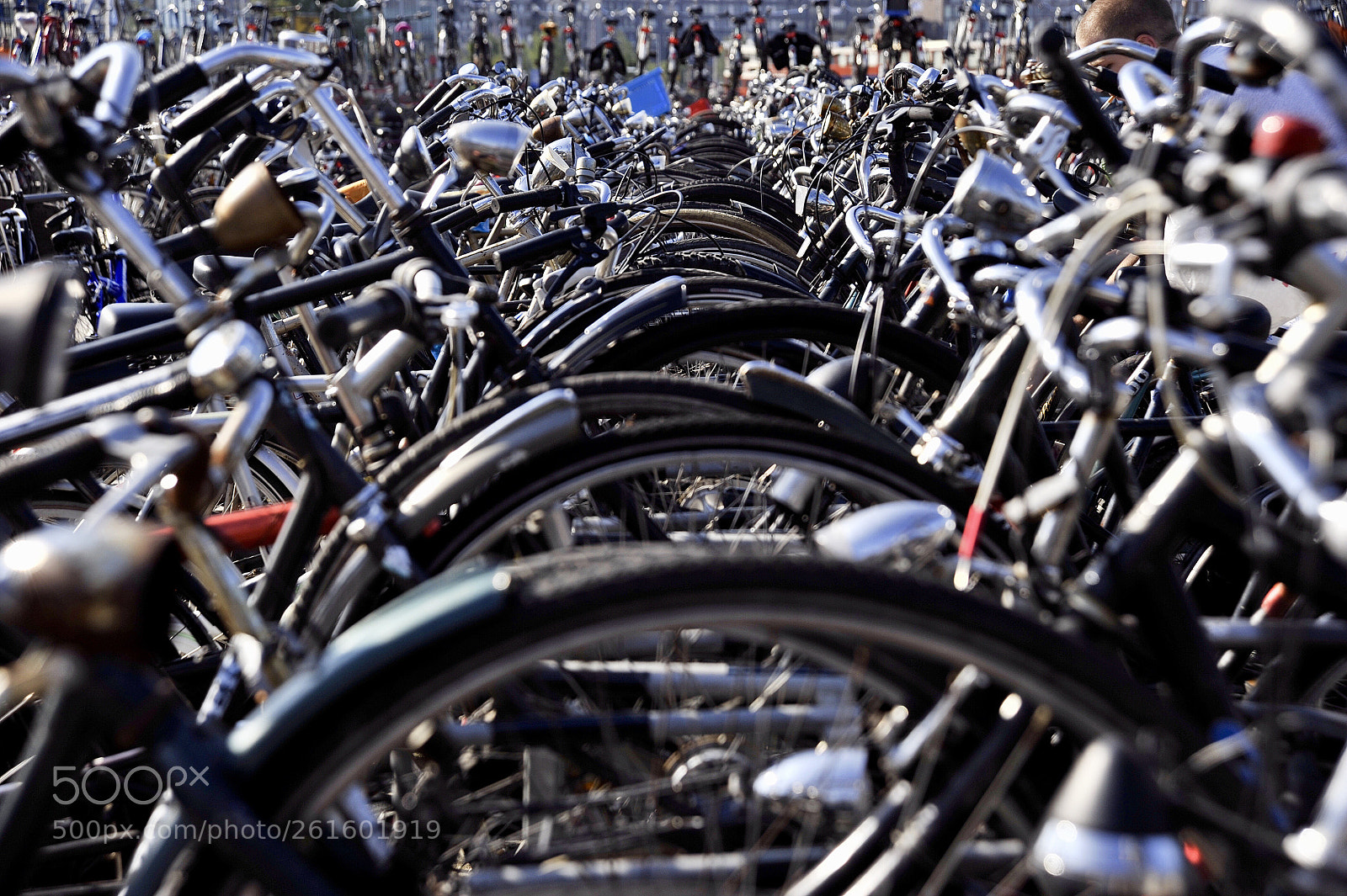 Nikon D700 sample photo. Amsterdam photography