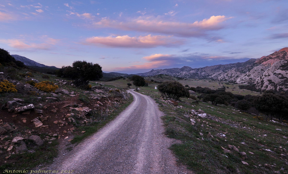 Nikon D90 sample photo. Caminos seranos photography
