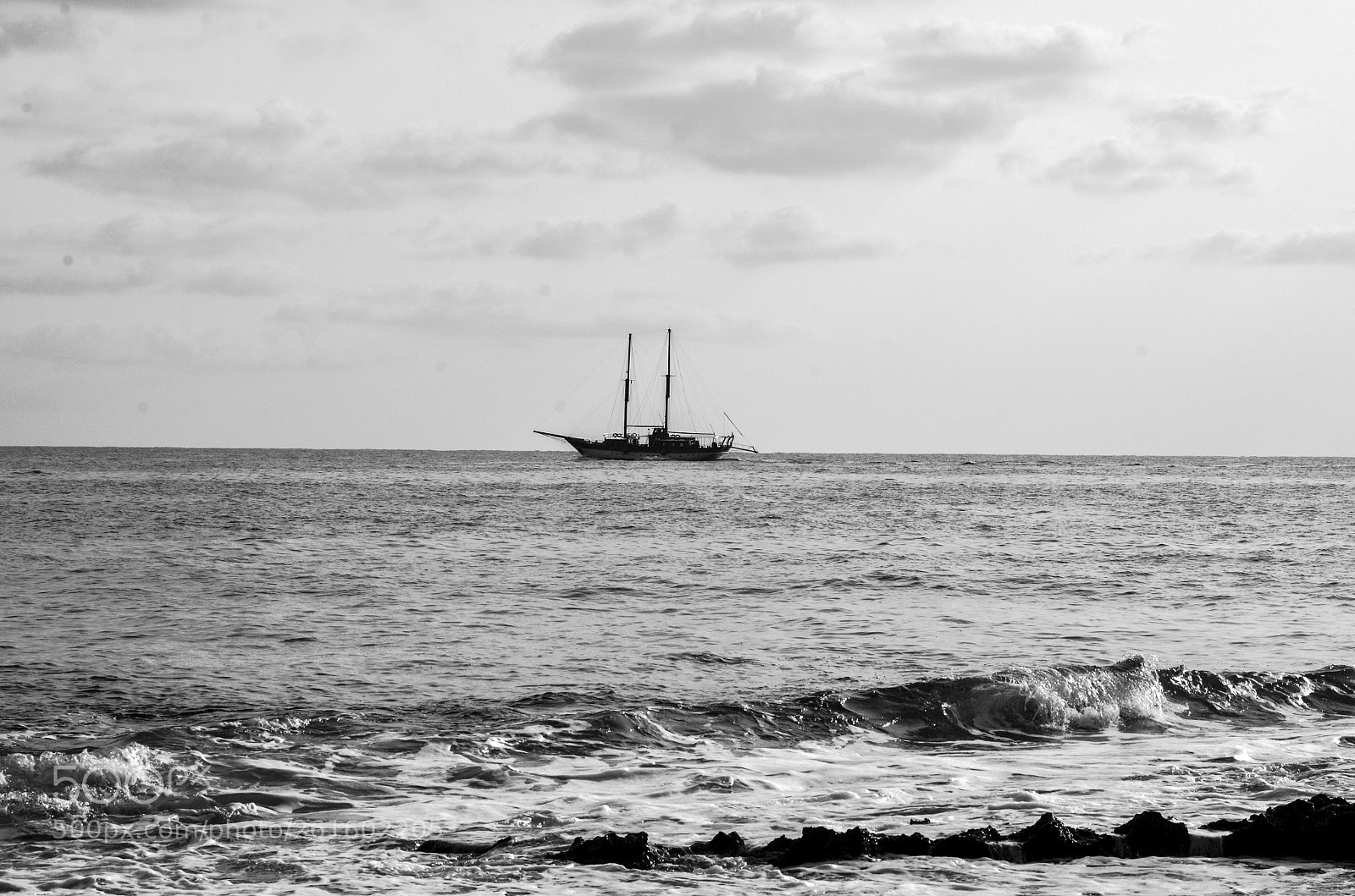 Nikon D7000 sample photo. In the middle of photography