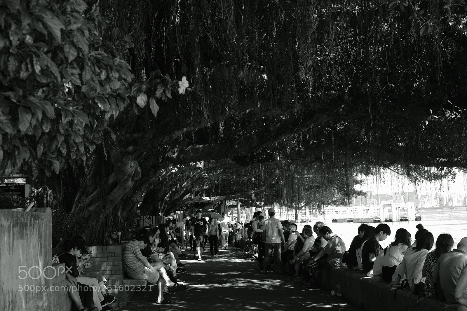 Fujifilm X-T2 sample photo. People under the tree photography