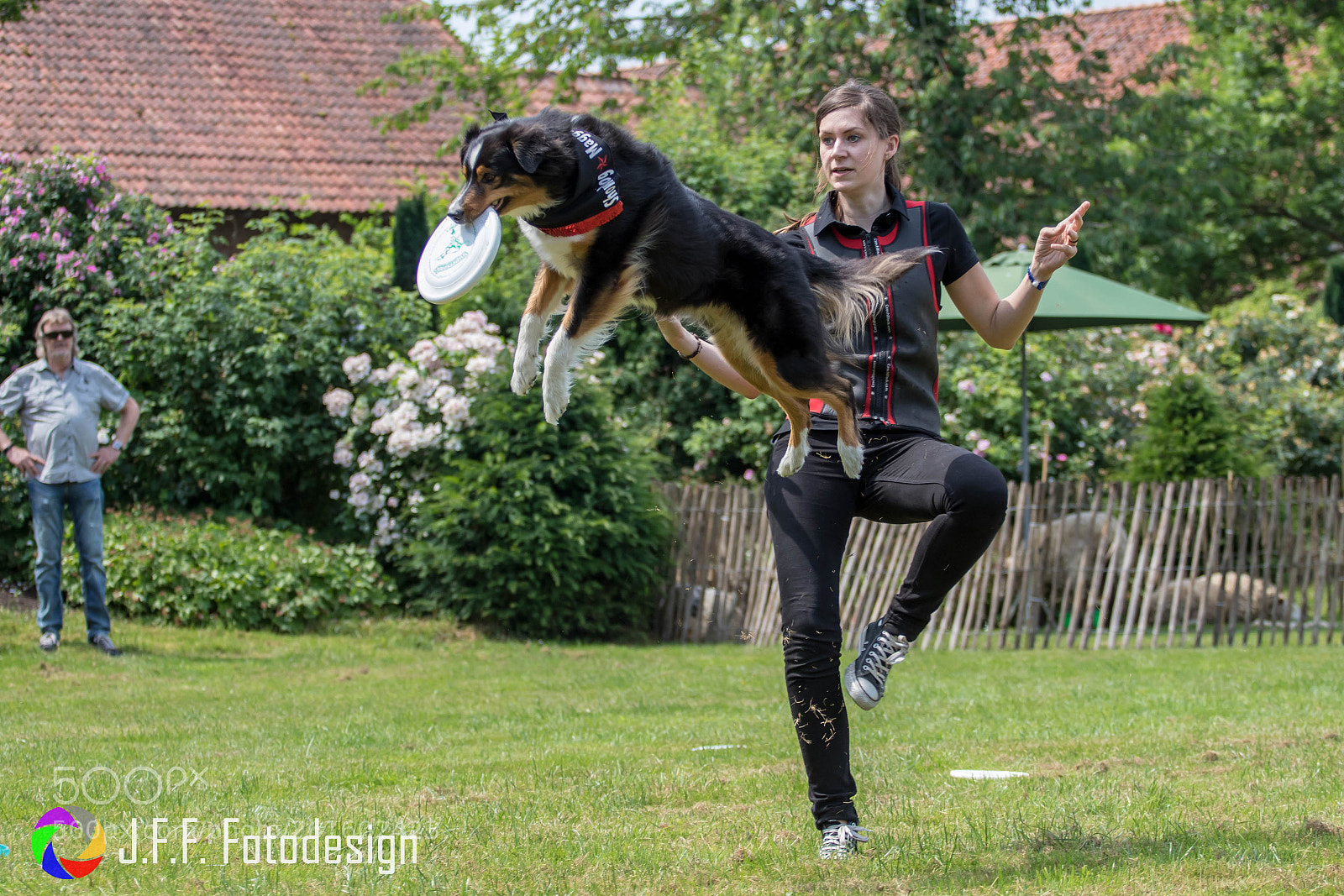 Canon EOS 7D Mark II sample photo. Hundefrisbee ii photography